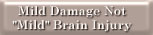 Mild Damage