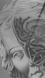 Sensory Brain